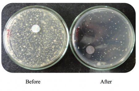 Bakterie před a po provedení Agnihotry