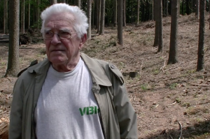 Problematika českých lesů