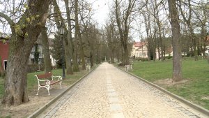 Záchrana původní aleje v Jindřichově Hradci