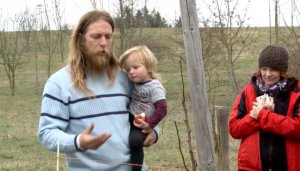 Jak správně sázet stromy