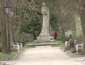 Záchrana původní aleje v Jindřichově Hradci pokračuje