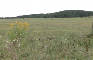 Nová životní cesta žurnalistky