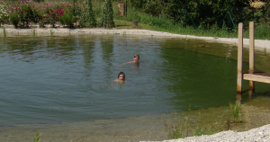 Stavba jezírka Rudolfov - krátká videa o diváků