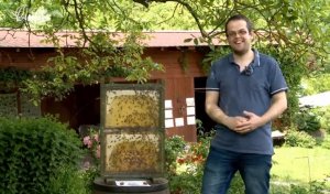 O včelkách od A do Z