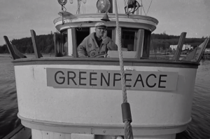 Co vlastně dělají Greenpeace?