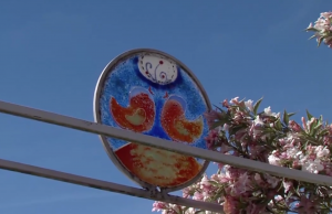 Zahrada Anastasie Feng shui