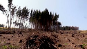 Šance pro Jeseníky - Ing. Milan Košulič